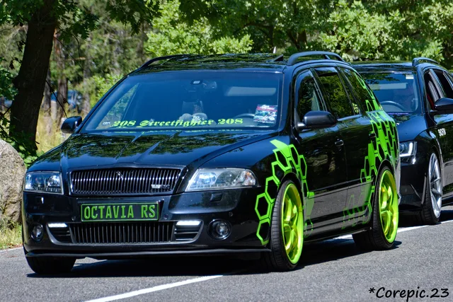 DSC_3305_DxO.jpg
