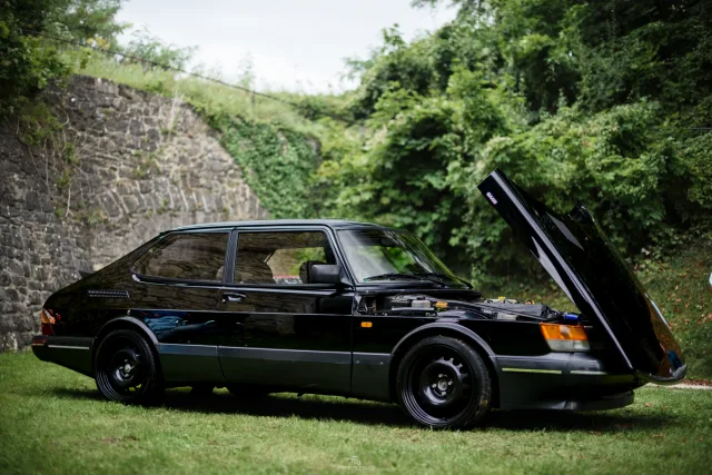 MB7_9115.jpg