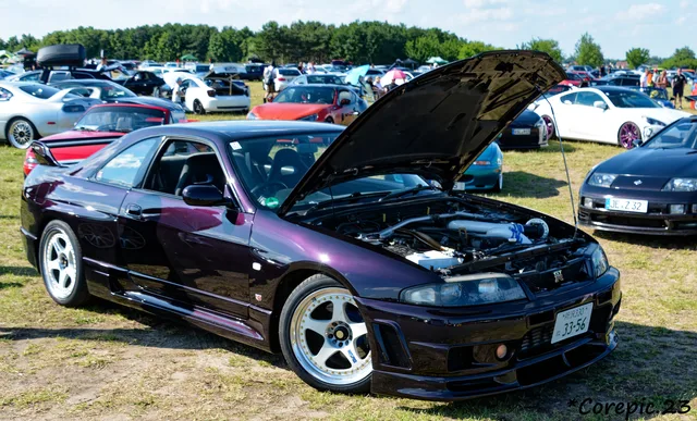 DSC_3556_DxO.jpg
