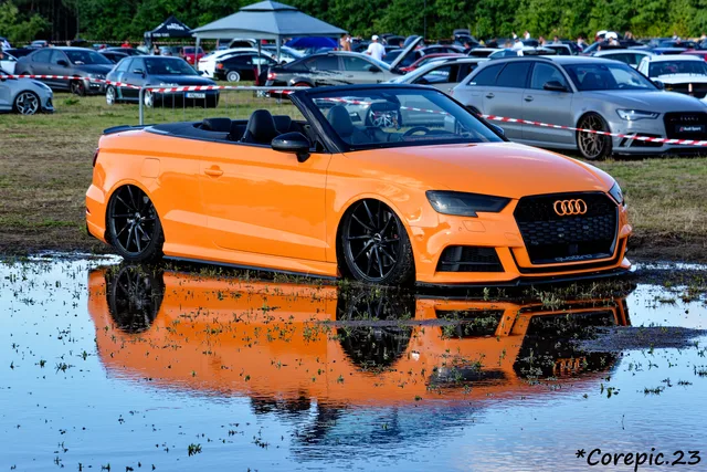DSC_3789_DxO.jpg