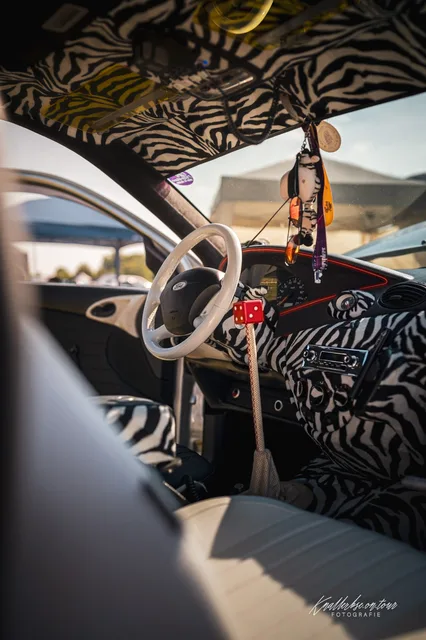 2026-06-27_Cars-meet_Photographers_Das-Zebra-FF1-19.jpg