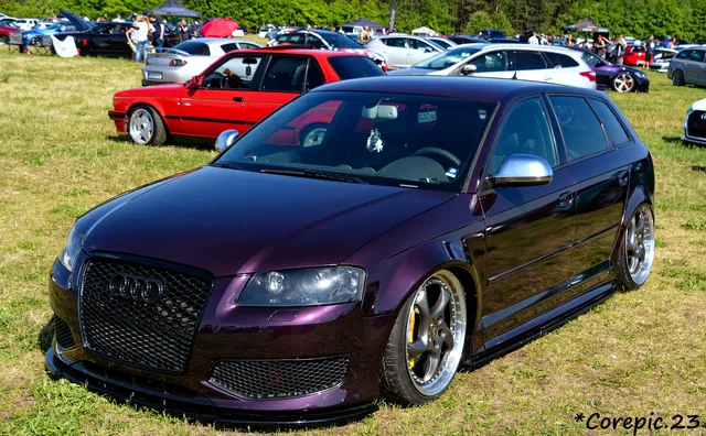 DSC_3470_DxO.jpg