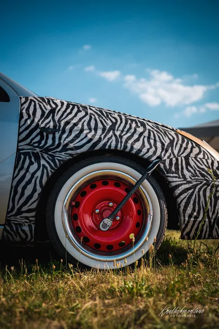 2026-06-27_Cars-meet_Photographers_Das-Zebra-FF1-29.jpg