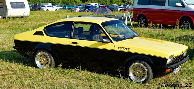 DSC_3915_DxO.jpg