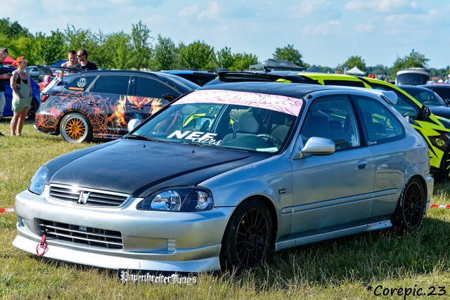 DSC_3608_DxO.jpg