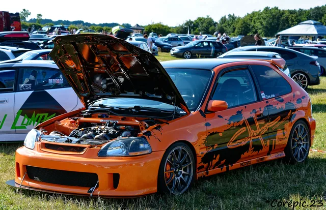 DSC_3609_DxO.jpg